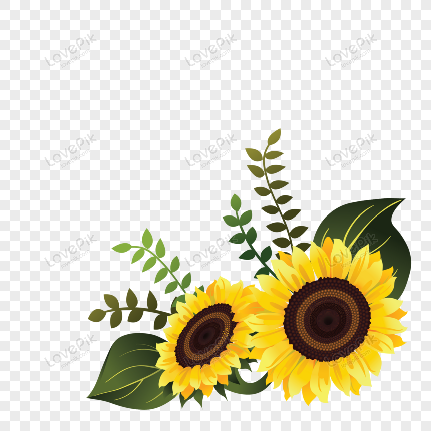 Detail Sunflower Png Vector Nomer 12