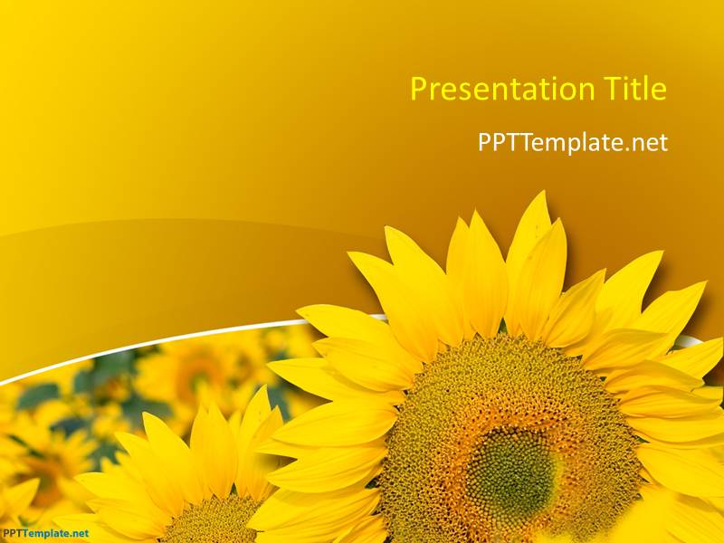 Detail Sunflower Powerpoint Template Nomer 2