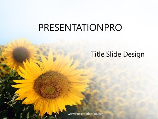 Detail Sunflower Powerpoint Template Nomer 13