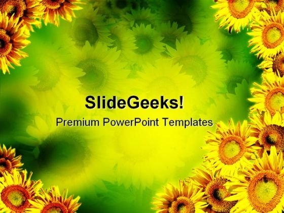 Detail Sunflower Powerpoint Template Nomer 21