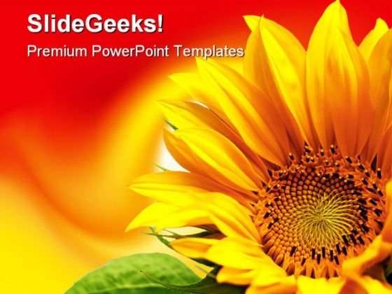 Detail Sunflower Powerpoint Template Nomer 22