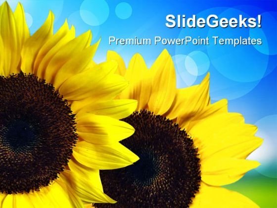 Detail Sunflower Powerpoint Template Nomer 24