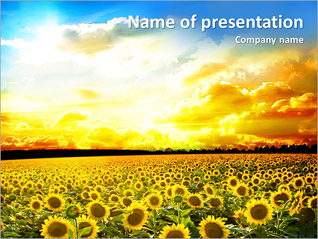 Detail Sunflower Powerpoint Template Nomer 25