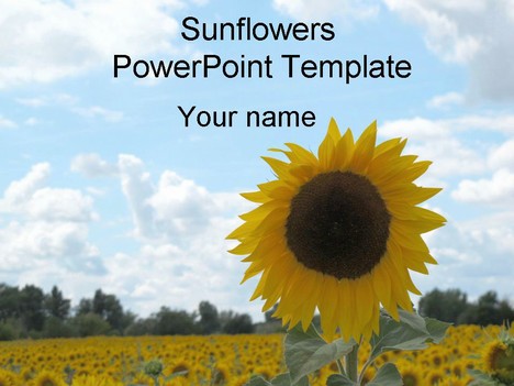 Detail Sunflower Powerpoint Template Nomer 26