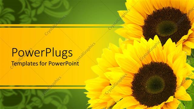 Detail Sunflower Powerpoint Template Nomer 27