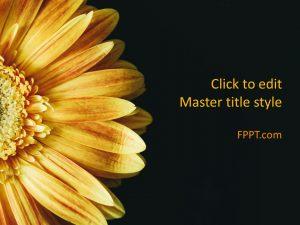 Detail Sunflower Powerpoint Template Nomer 31