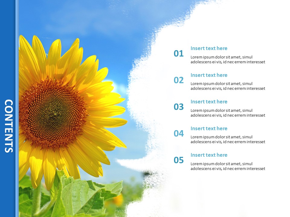 Detail Sunflower Powerpoint Template Nomer 34