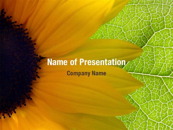 Detail Sunflower Powerpoint Template Nomer 36