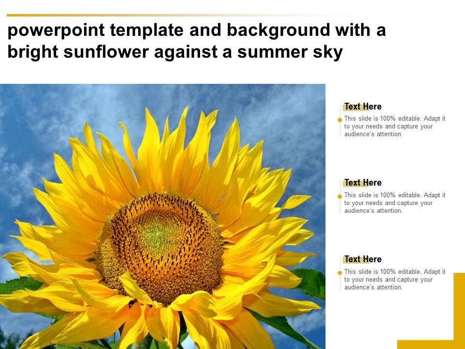 Detail Sunflower Powerpoint Template Nomer 41