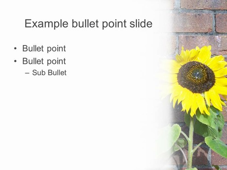 Detail Sunflower Powerpoint Template Nomer 43