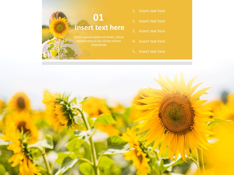 Detail Sunflower Powerpoint Template Nomer 7