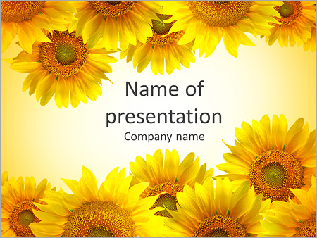 Detail Sunflower Powerpoint Template Nomer 8