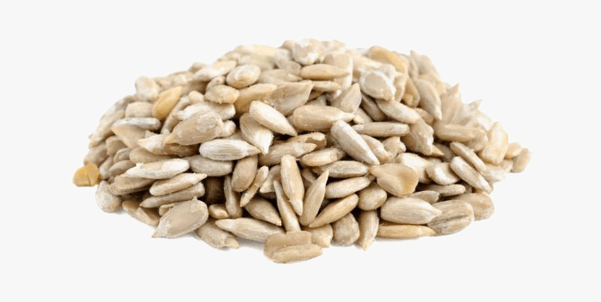 Detail Sunflower Seed Png Nomer 10