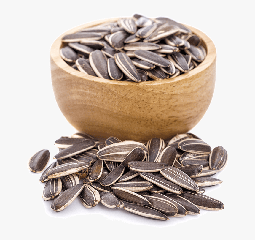 Detail Sunflower Seed Png Nomer 11