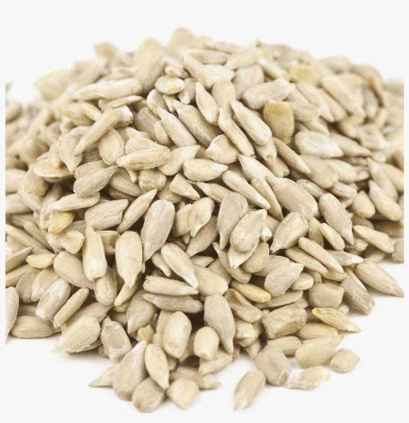 Detail Sunflower Seed Png Nomer 21