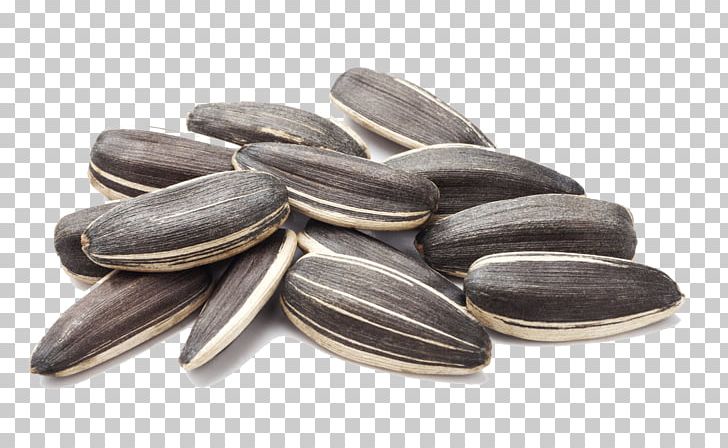 Detail Sunflower Seed Png Nomer 4