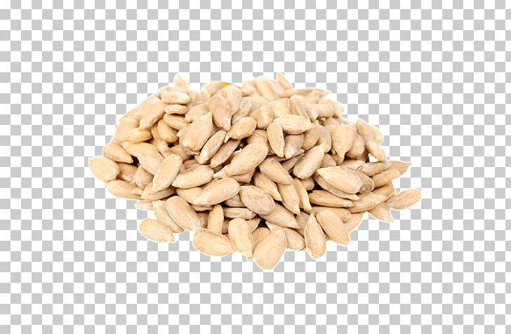 Detail Sunflower Seed Png Nomer 26