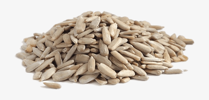 Detail Sunflower Seed Png Nomer 27