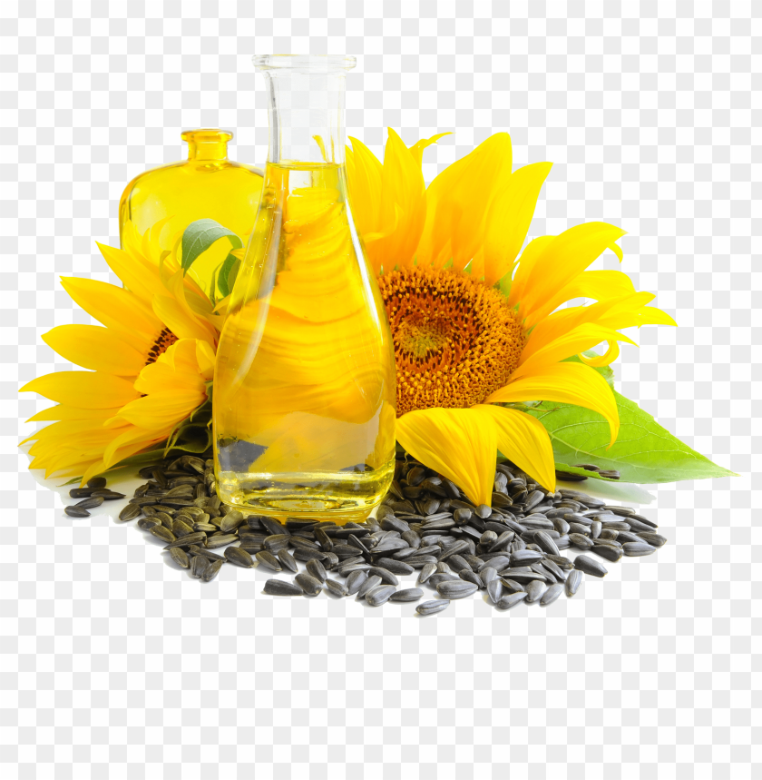 Detail Sunflower Seed Png Nomer 31