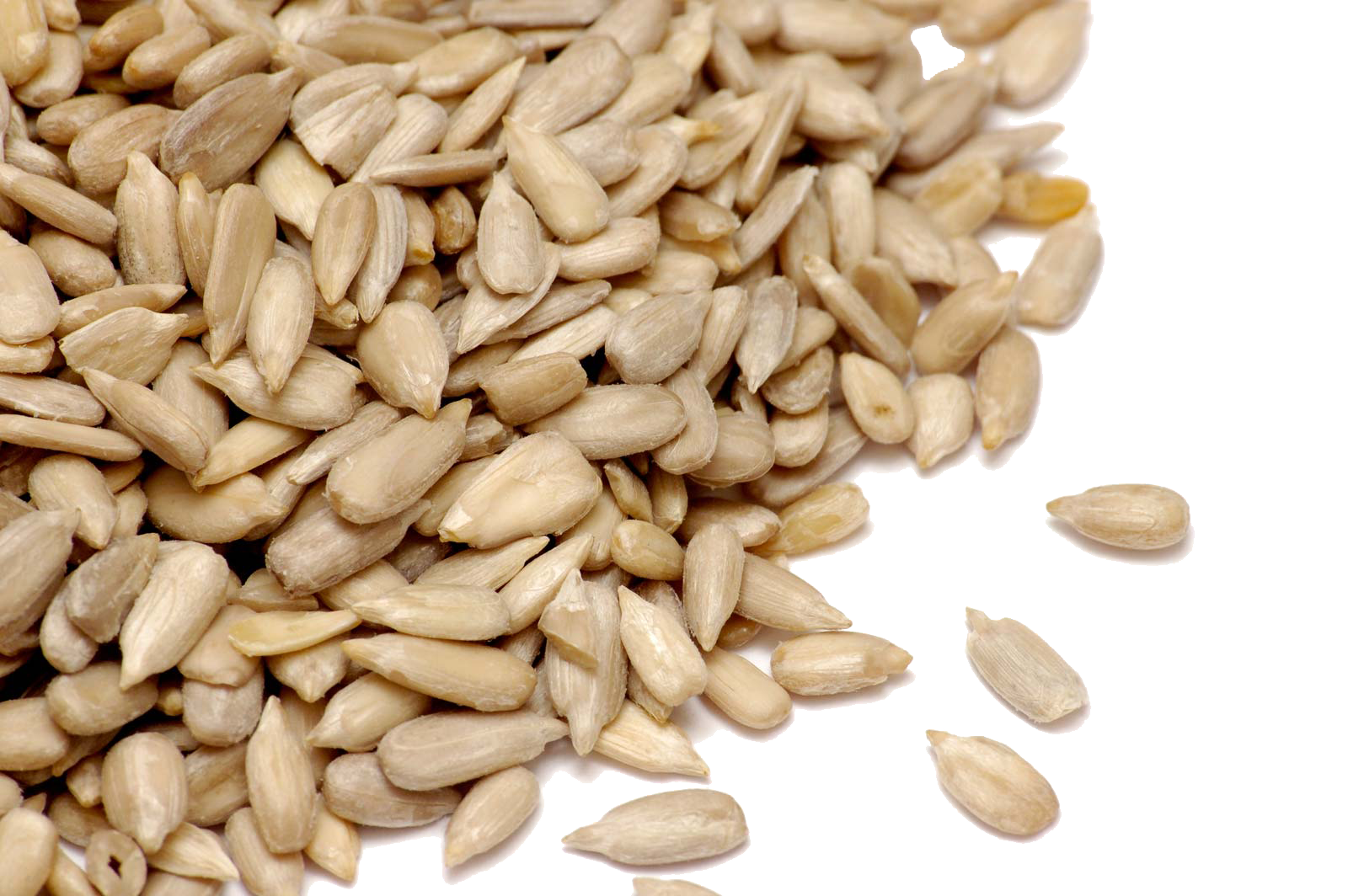 Detail Sunflower Seed Png Nomer 42