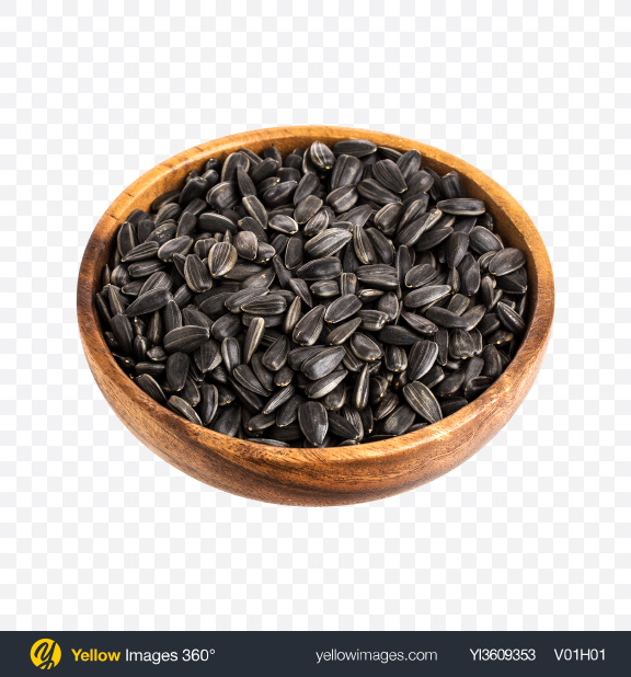 Detail Sunflower Seed Png Nomer 45