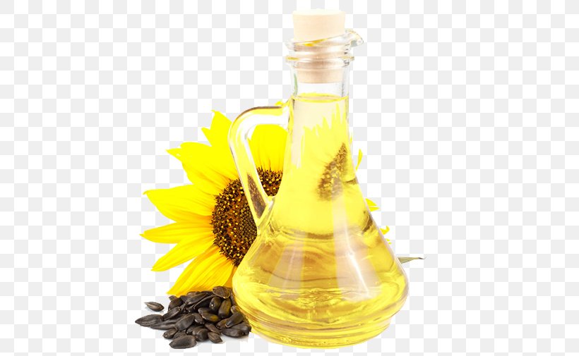 Detail Sunflower Seed Png Nomer 47