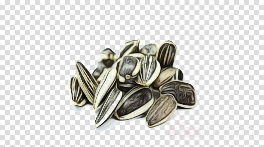 Detail Sunflower Seeds Clipart Nomer 10