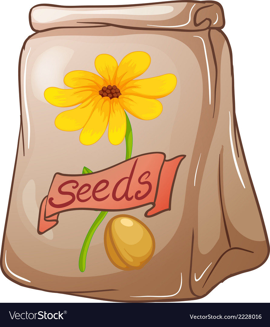 Detail Sunflower Seeds Clipart Nomer 14