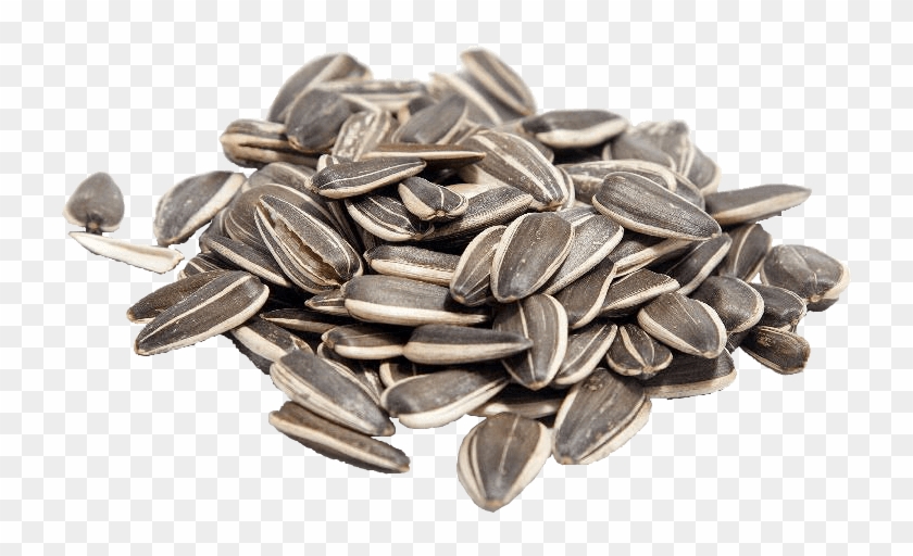 Detail Sunflower Seeds Clipart Nomer 20