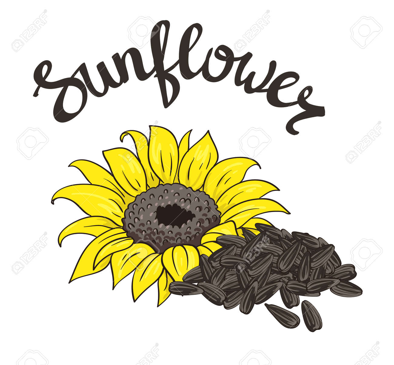 Detail Sunflower Seeds Clipart Nomer 28