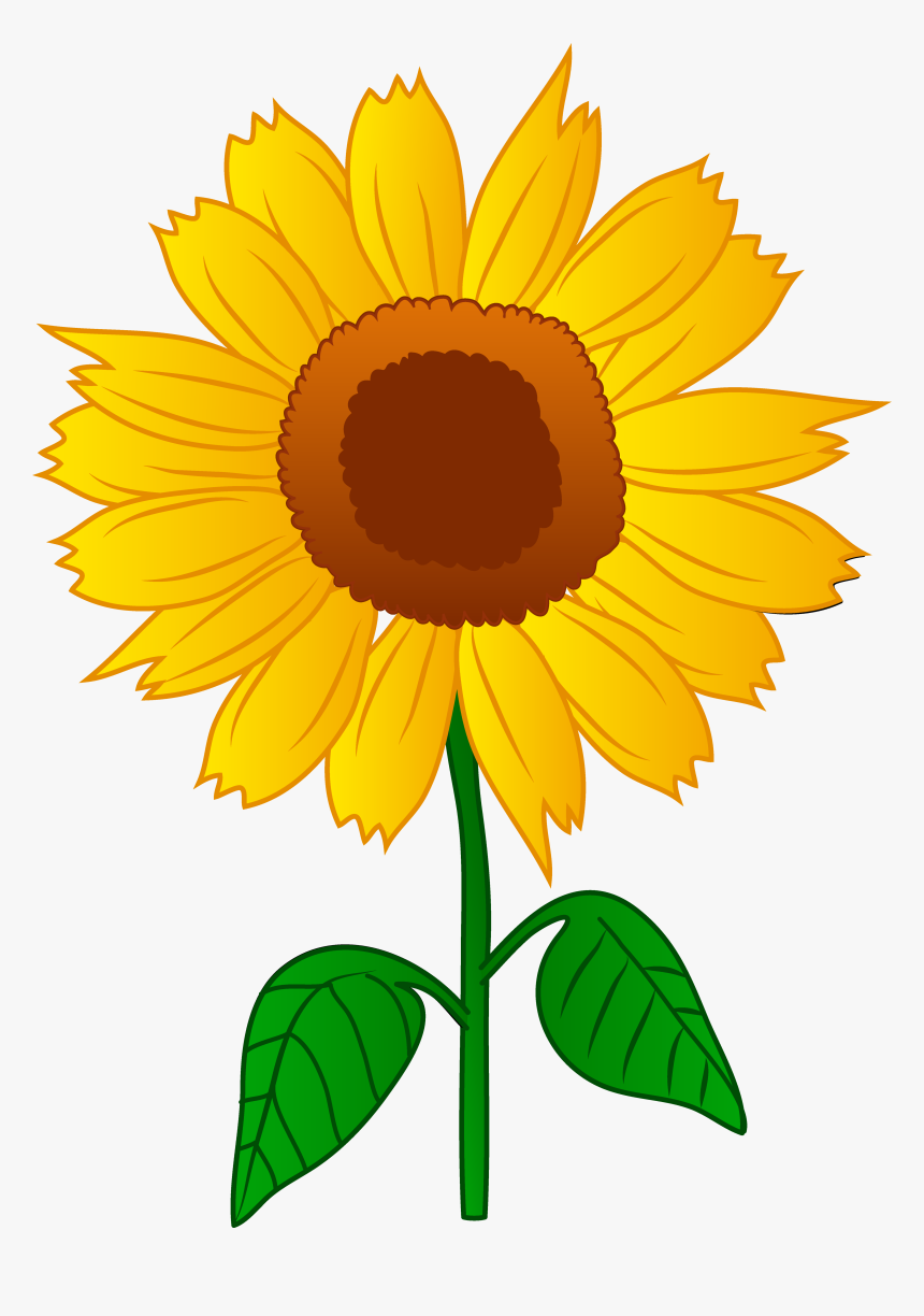 Detail Sunflower Seeds Clipart Nomer 31