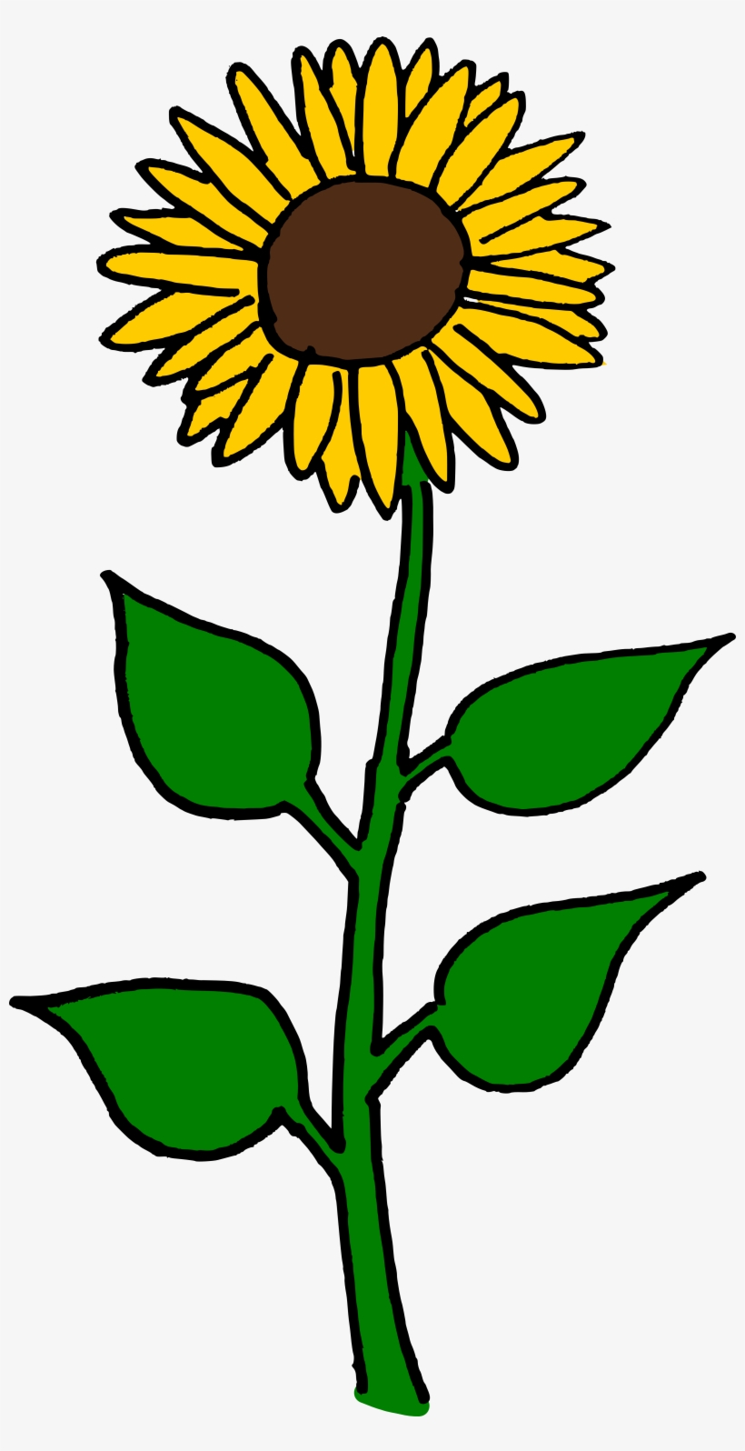 Detail Sunflower Seeds Clipart Nomer 38