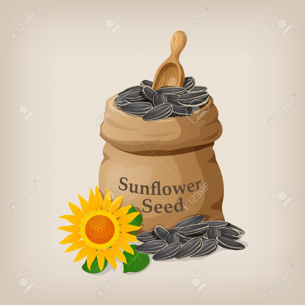 Detail Sunflower Seeds Clipart Nomer 44