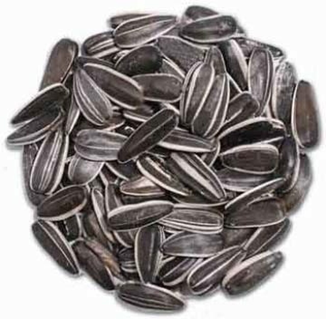 Detail Sunflower Seeds Images Nomer 37