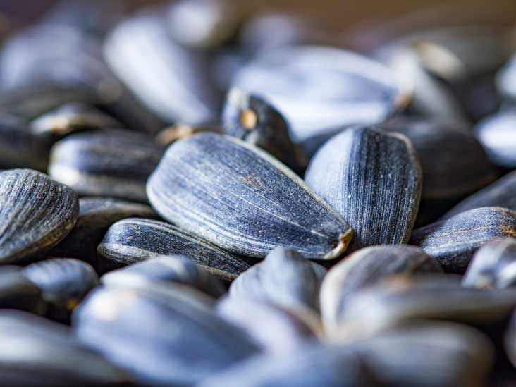 Detail Sunflower Seeds Images Nomer 47