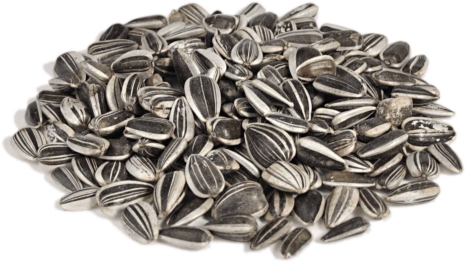 Sunflower Seeds Png - KibrisPDR