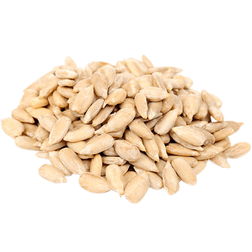 Detail Sunflower Seeds Png Nomer 37