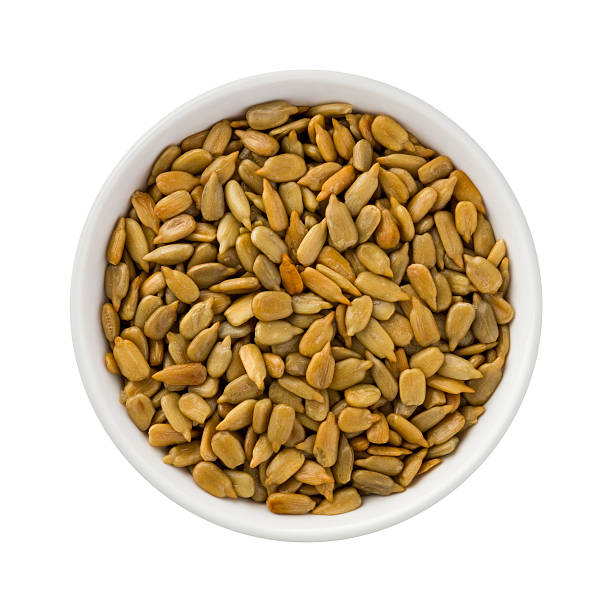 Detail Sunflower Seeds Png Nomer 42