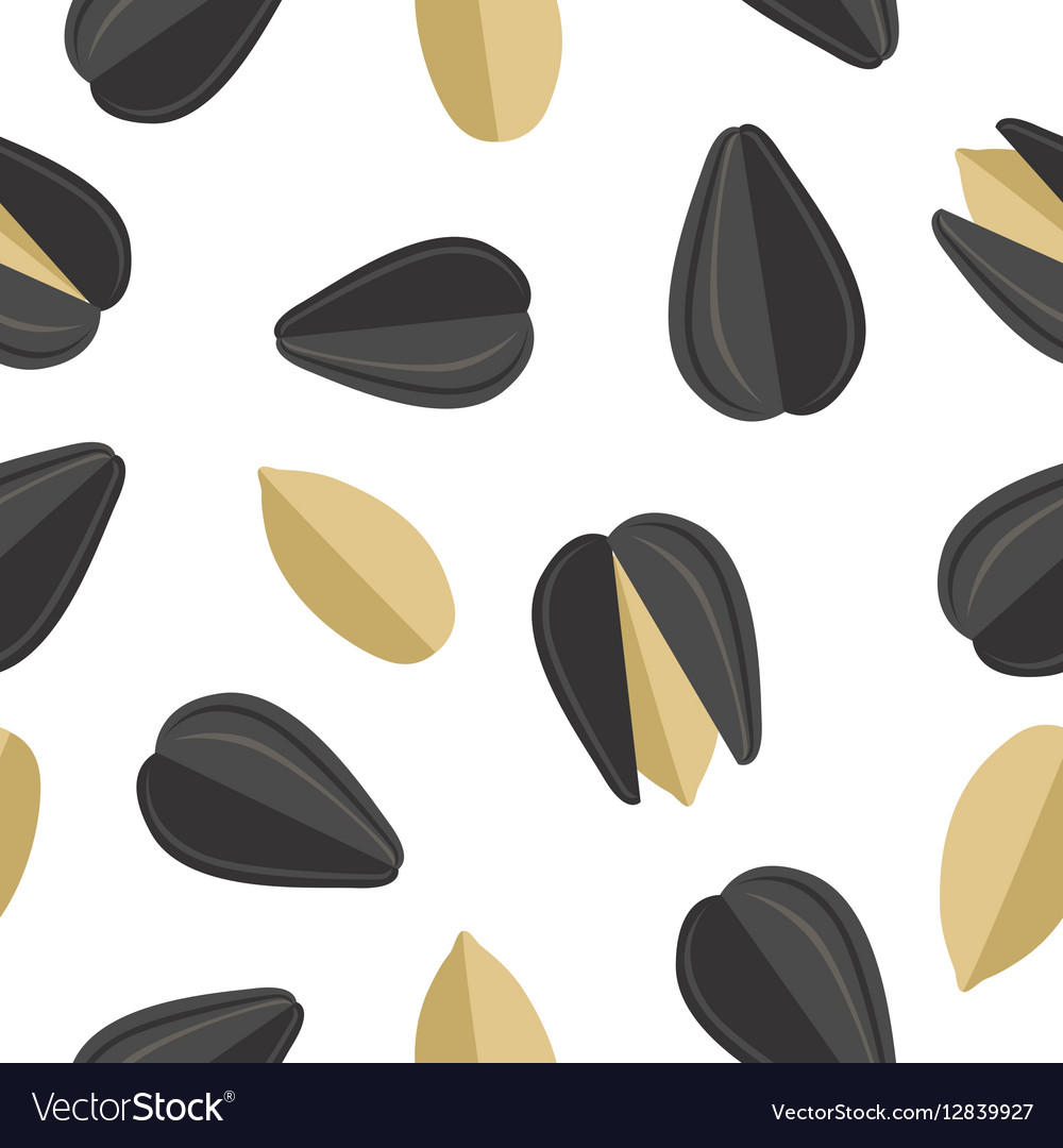 Detail Sunflower Seeds Vector Nomer 24