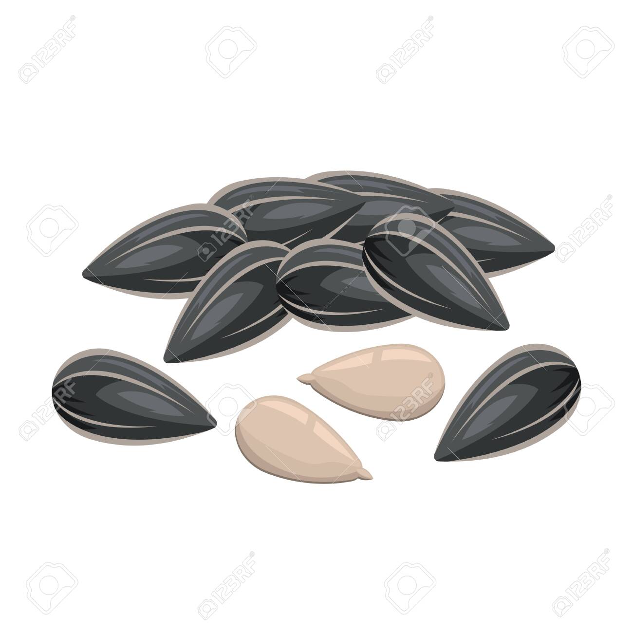 Detail Sunflower Seeds Vector Nomer 4