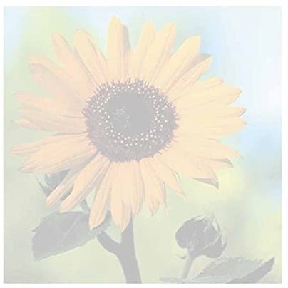 Detail Sunflower Sticky Notes Nomer 3