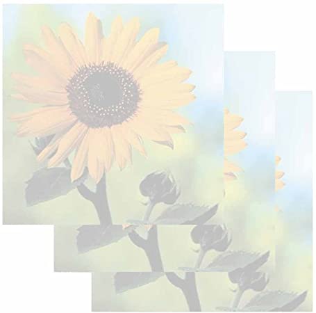 Detail Sunflower Sticky Notes Nomer 4