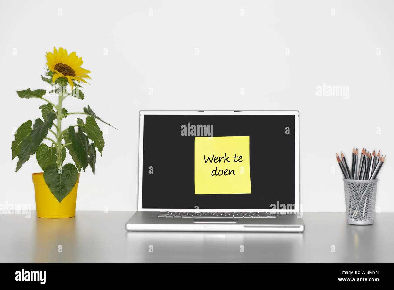 Detail Sunflower Sticky Notes Nomer 44