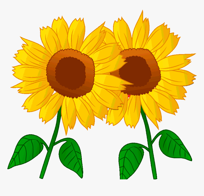 Detail Sunflower Transparent Png Nomer 11