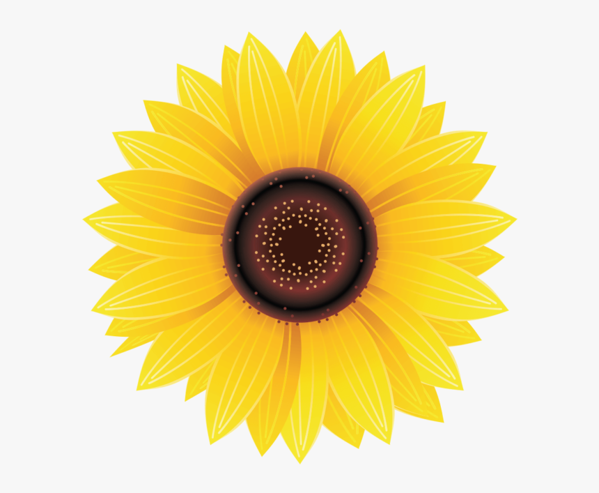 Detail Sunflower Transparent Png Nomer 29