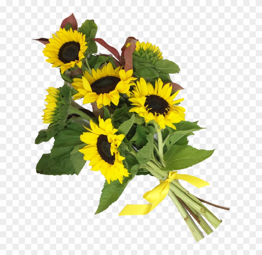 Detail Sunflower Transparent Png Nomer 38