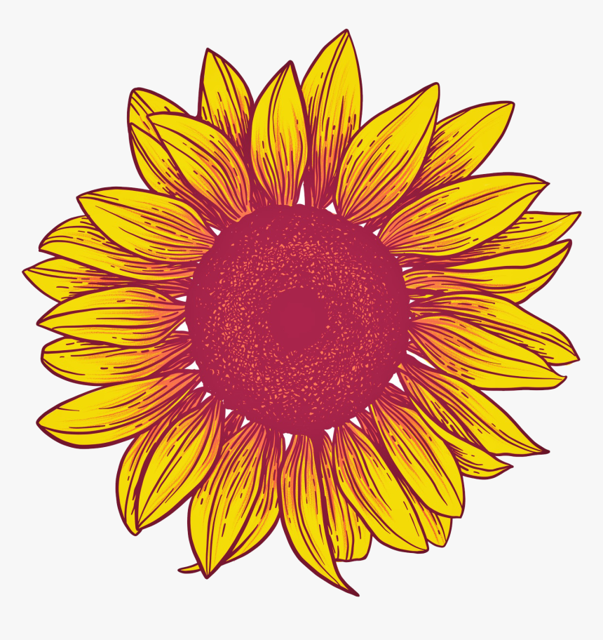 Detail Sunflower Transparent Png Nomer 41