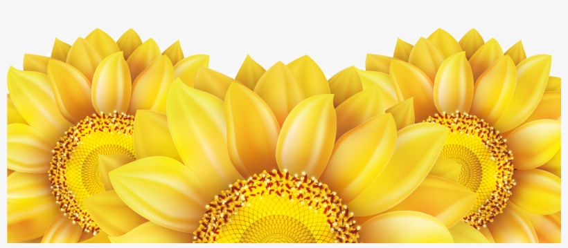 Detail Sunflower Vector Png Nomer 11