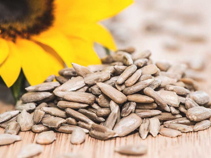 Detail Sunflower With Seeds Images Nomer 11