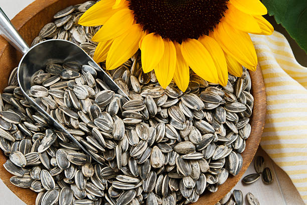Detail Sunflower With Seeds Images Nomer 2